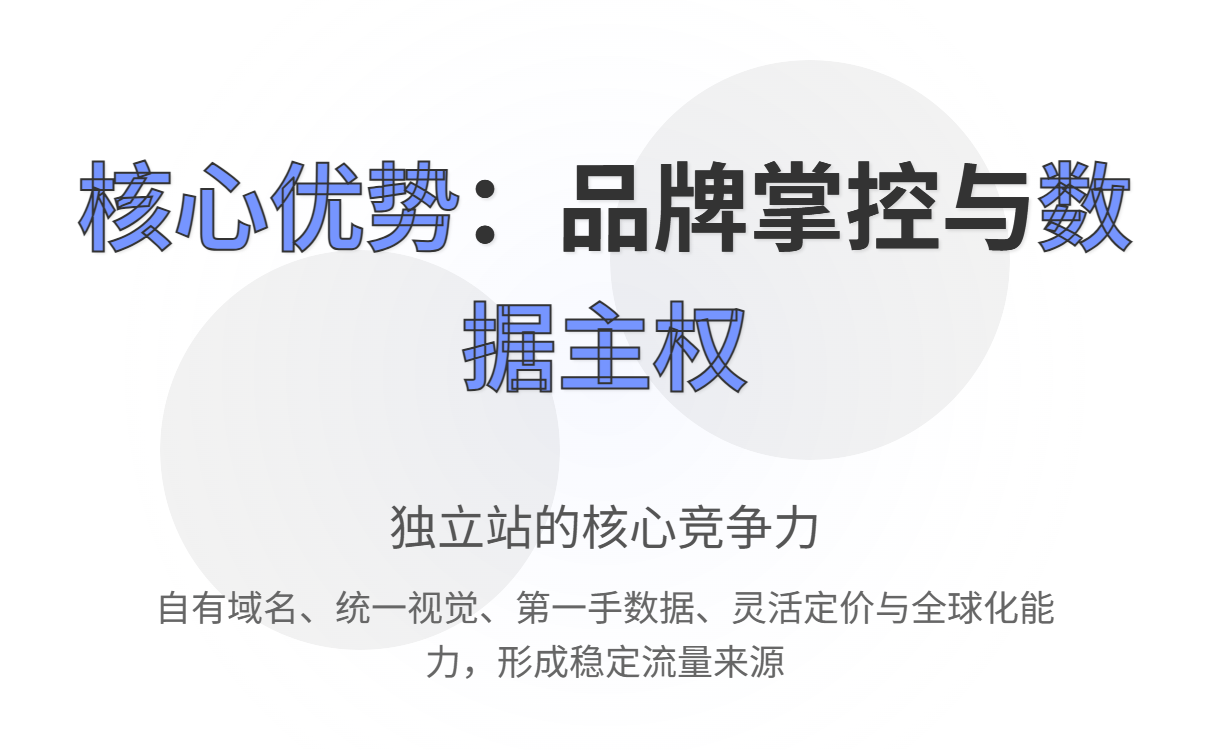 独立站是什么平台？自建商城的定义、优势与选型指南