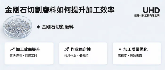 文章配图_1783476059980.jpg