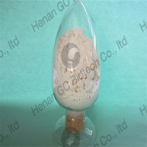 CBS（CZ）橡胶促进剂在硫化体系中的反应路径与关键作用点示意
