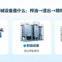 https://shmuker.oss-accelerate.aliyuncs.com/data/oss/65b068c3c2e9735675cac322/65b068c3c2e9735675cac326/ARTICLEgrain-and-oil-machinery-integrated-processing-explained-qie-group.png