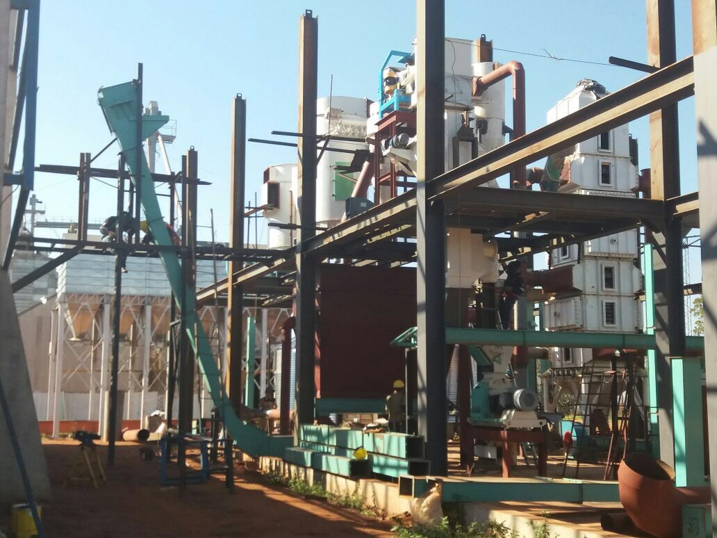 Penguin Group's small-scale sunflower oil press in operation