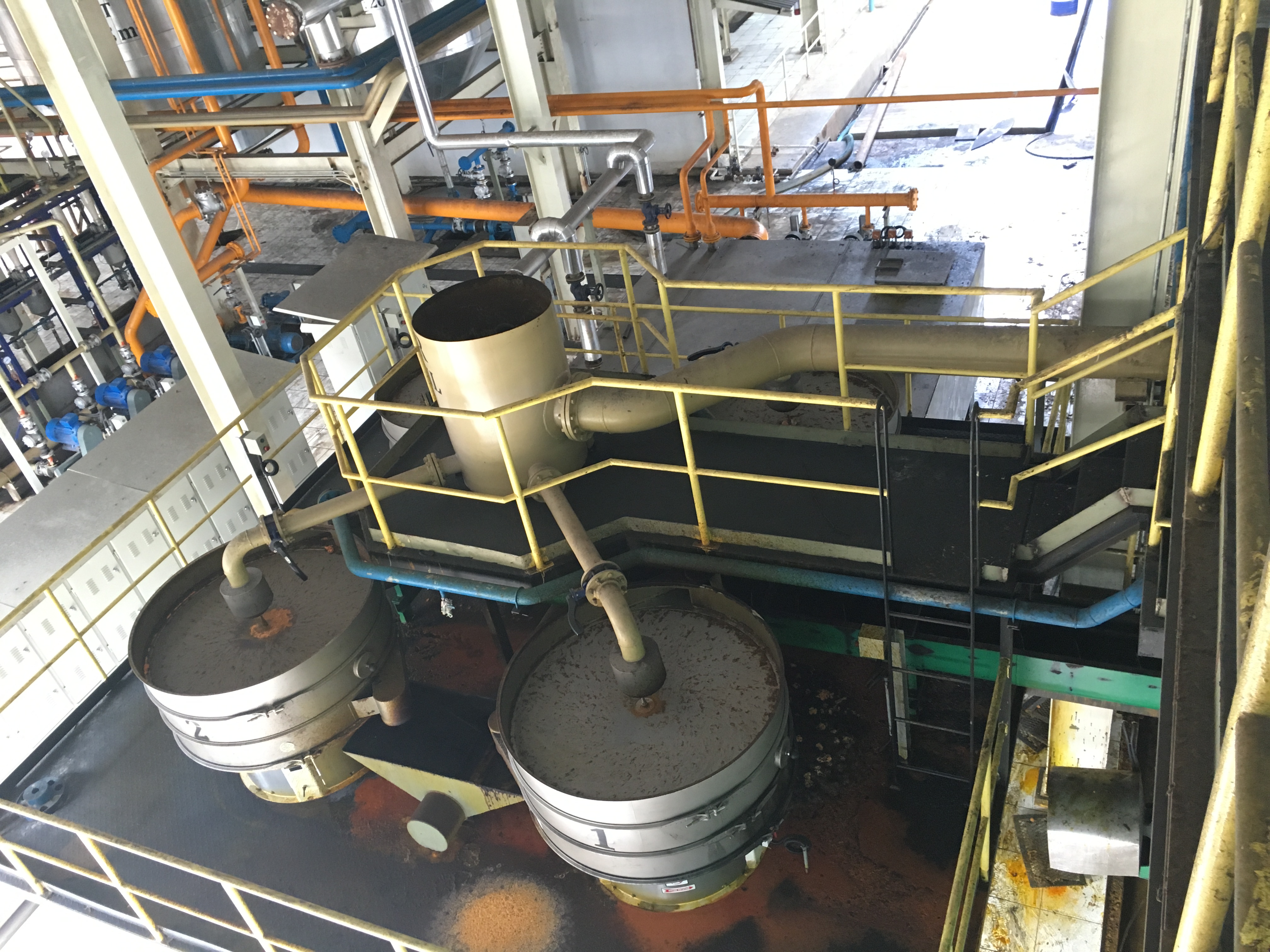 Sunflower oil processing line comparing hot and cold press equipment configuration