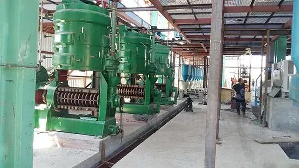 中型螺杆榨油机-1.jpg