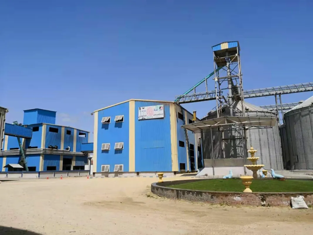 Soybean Oil Plant