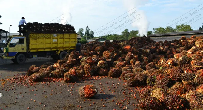 Palm oil production line equipment