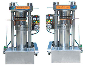 Sesame seeds being processed by screw oil press in a medium-scale oil production factory