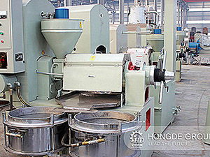 20 tons palm kernel oil processing equipment