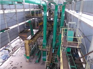Sunflower oil extraction machine-1.jpg