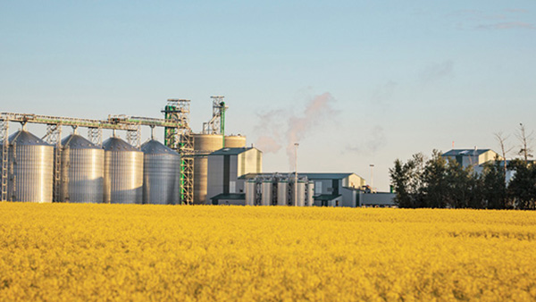 Схема технологического процесса производства рапсового масла