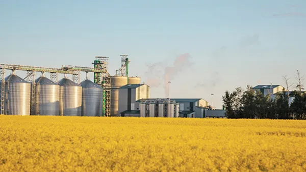 Large-Scale Energy-Saving Rapeseed Oil Press Machine
