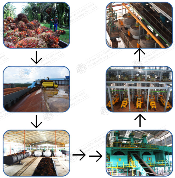 Smart home oil press in action, showing clean oil collection and digital display panel