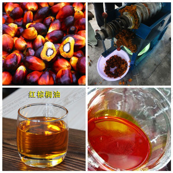 Energy - efficient screw oil press mechanical structure