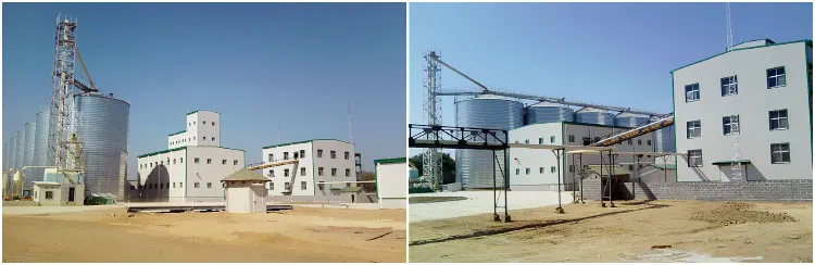 Rice Bran Oil Production Line with Integrated Refining and Deodorizing Equipment