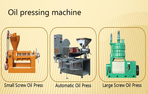 Detailed schematic comparison of hydraulic and screw press sesame oil extraction processes