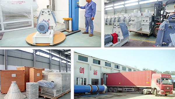 The internal structure of a commercial small sunflower oil press