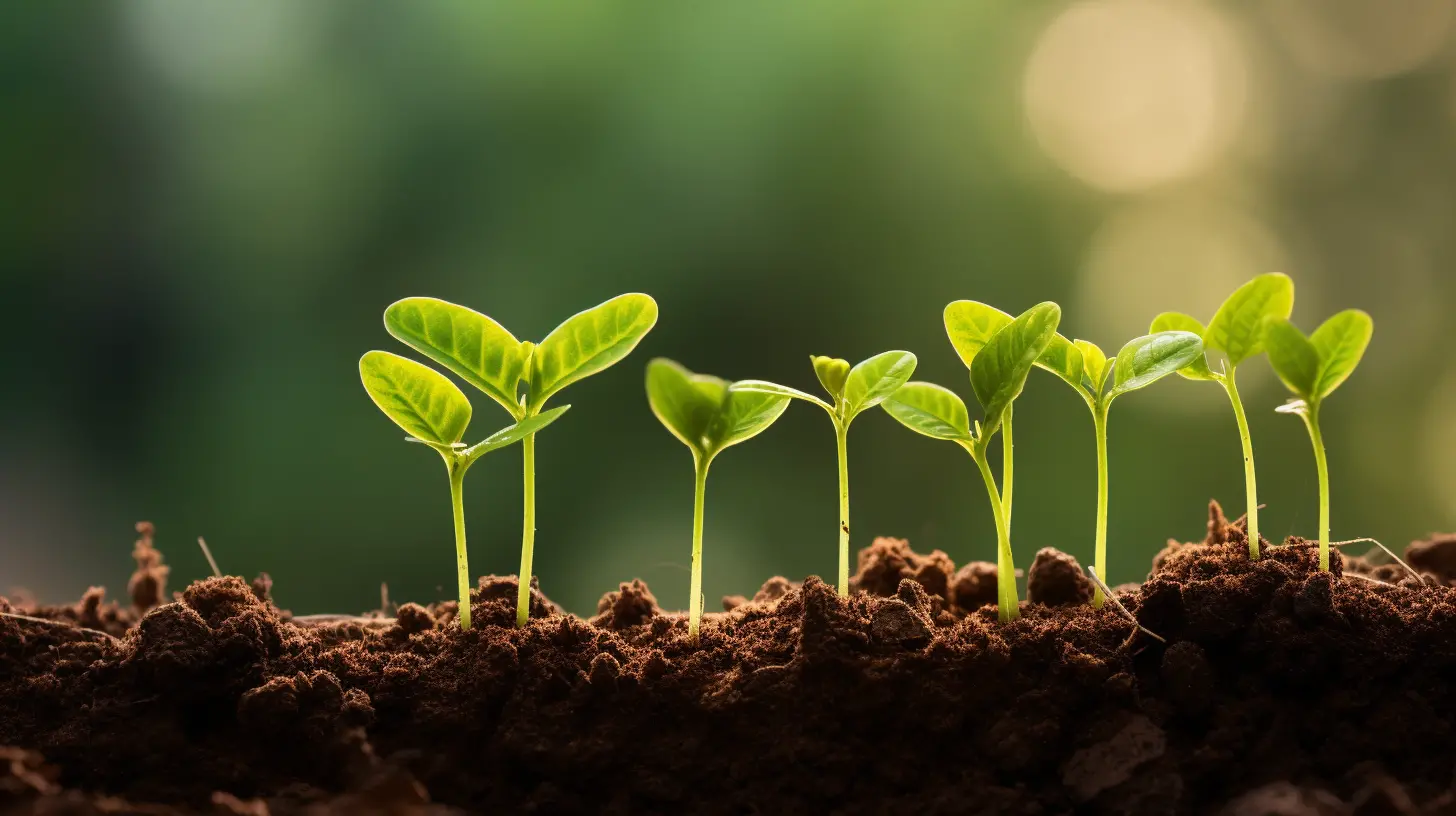 fertilizer-marketing-32.jpg