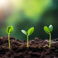 fertilizer-marketing-33.jpg