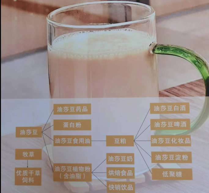 오일 샤드 오일의 저온 압착 공정 모습 - 자연 그대로의 건강함을 담은 기술