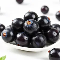 Blackcurrant2.png
