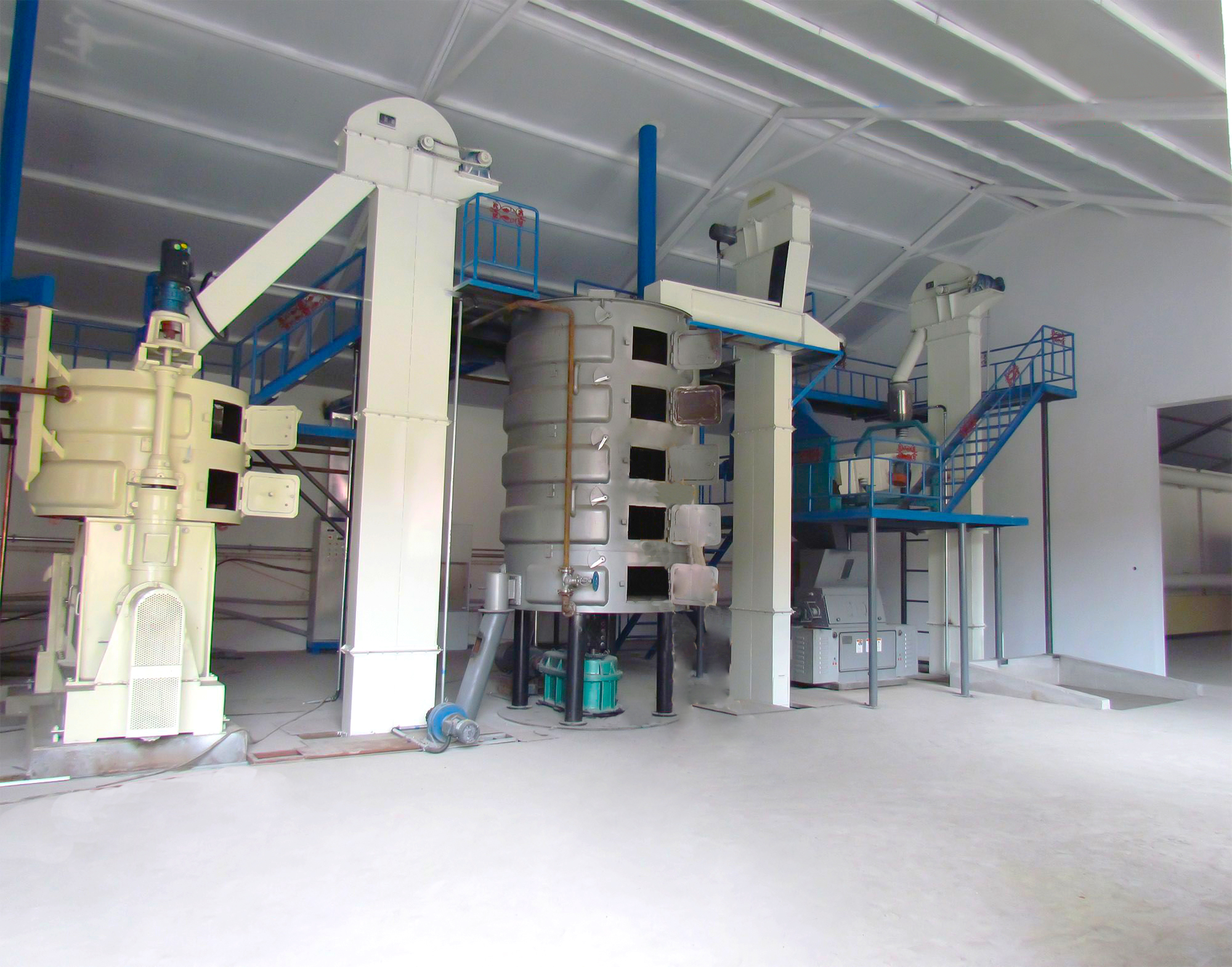 大型葵花籽<a href=