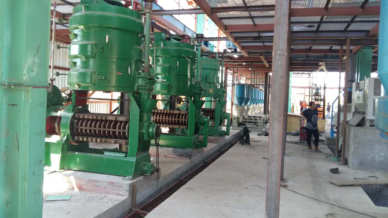 Juego de máquina para descascarar y prensar cacahuetes