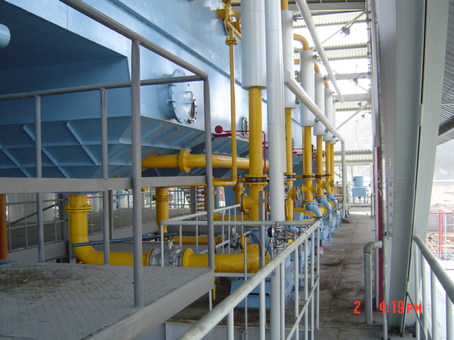 Peanut Oil Extraction Lines Machine