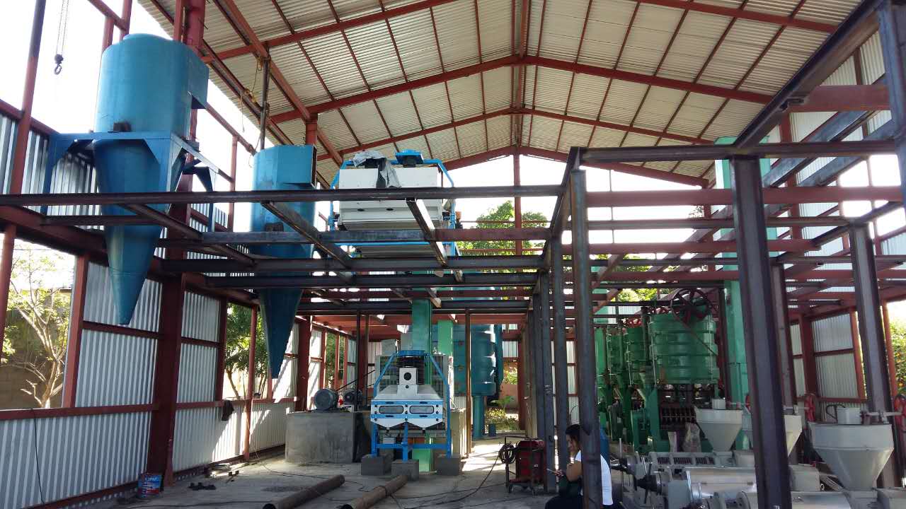 Línea de pretratamiento de aceite de cacahuete industrial con laminado de 0,3-0,5 mm y prensado por tornillo de alta eficiencia para proyectos llave en mano de 100 toneladas por día.