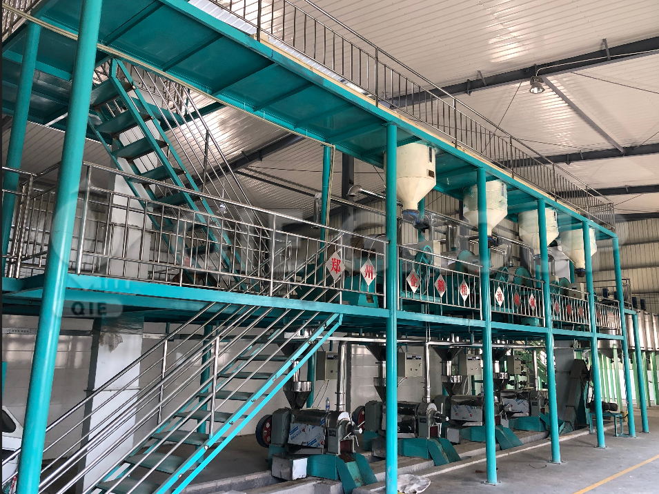 GRUPO QIE Aceite de colza inteligente prensado en frío
