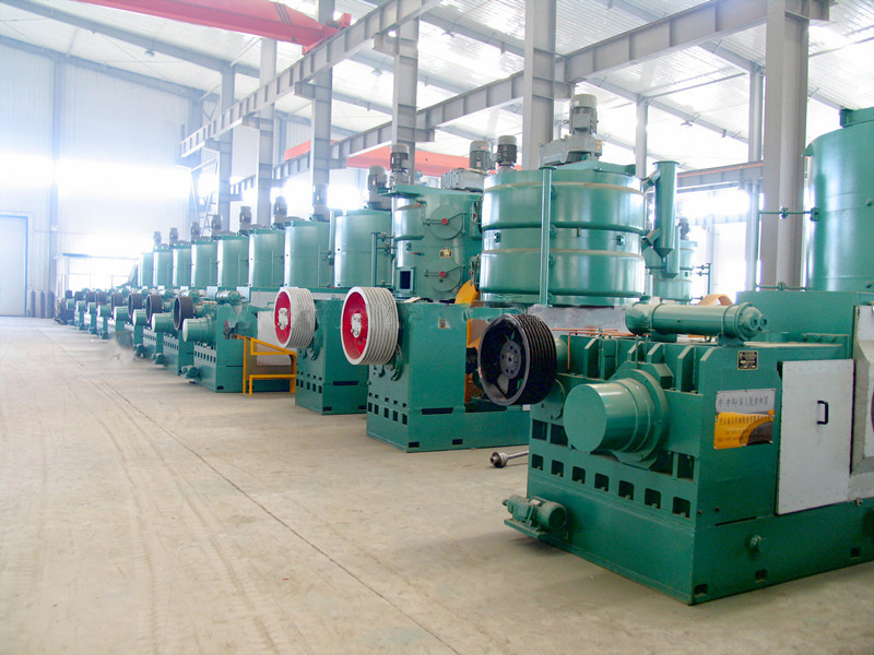 Presse à huile à vis haute capacité conçue spécifiquement pour les installations de taille moyenne – permettant une extraction mécanique efficace de l'huile de germe de maïs.