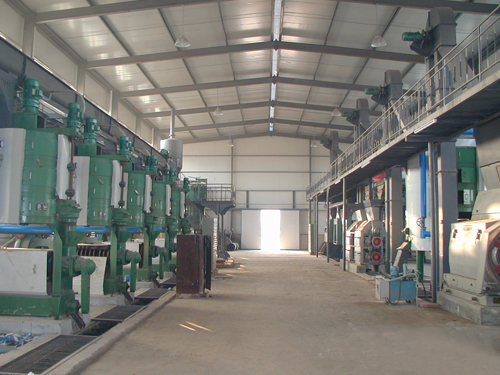 High-efficiency screw oil press for improving oil yield in edible oil production