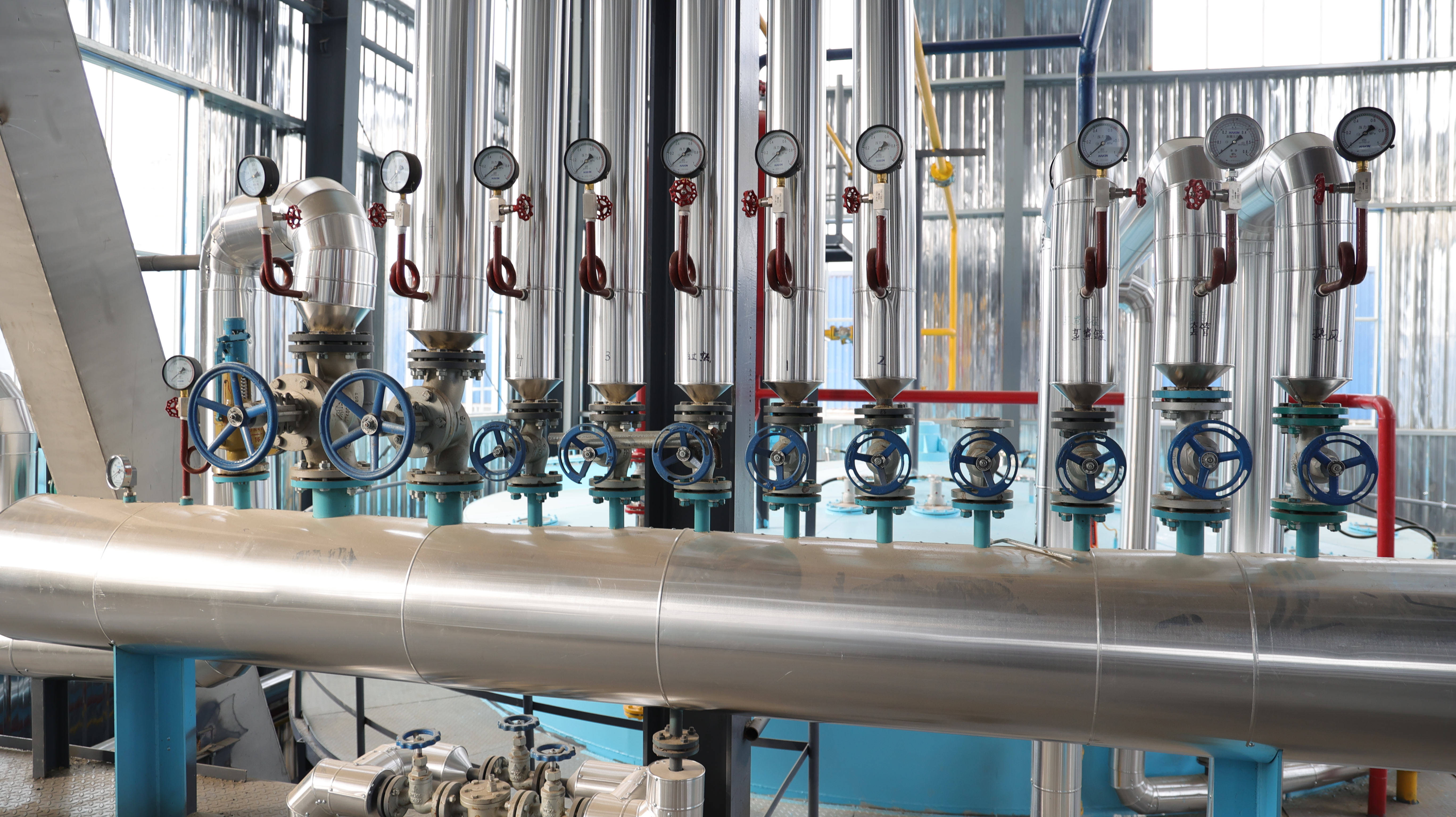 Rapeseed solvent extraction machine for oil recovery