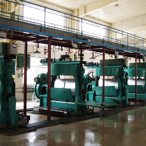 Corn germ oil processing machinery line with preparation and extraction equipment
