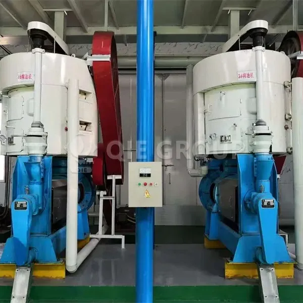 flaxseed-oil-production-line-main.webp