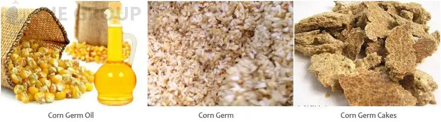 corn-germ-oil-production.webp