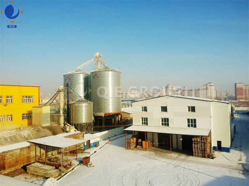 Complete cottonseed oil production line with processing equipment