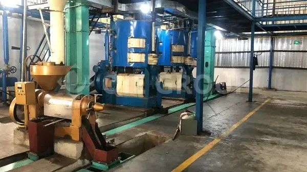 peanut-oil-press-equipment-1.webp