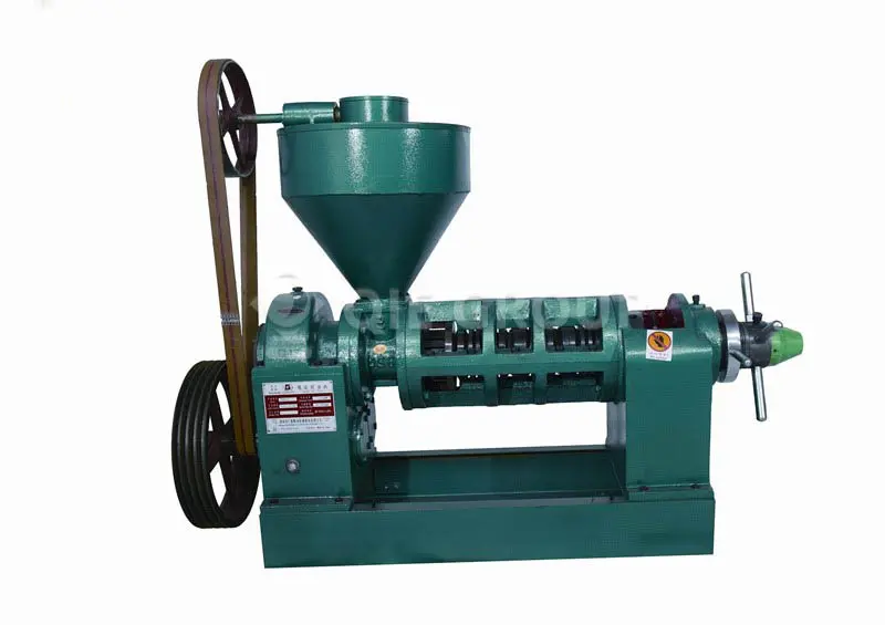 YZYX10 edible screw oil press