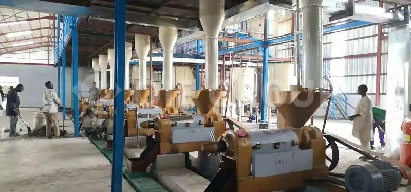 Peanut spiral oil press