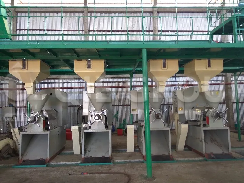 Soybean sunflower seed screw oil press