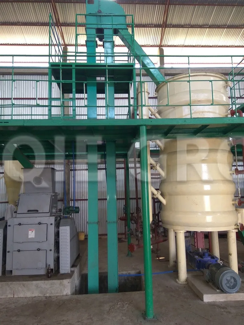 Soybean and sunflower seed steaming and frying equipment
