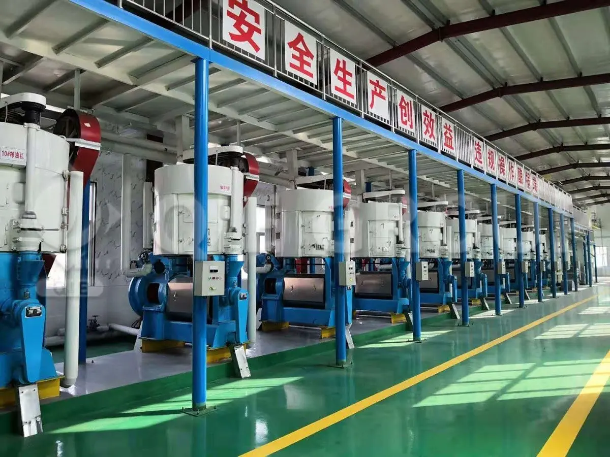 10tons-8hours-shea-nut-oil-pressing-production-line.webp