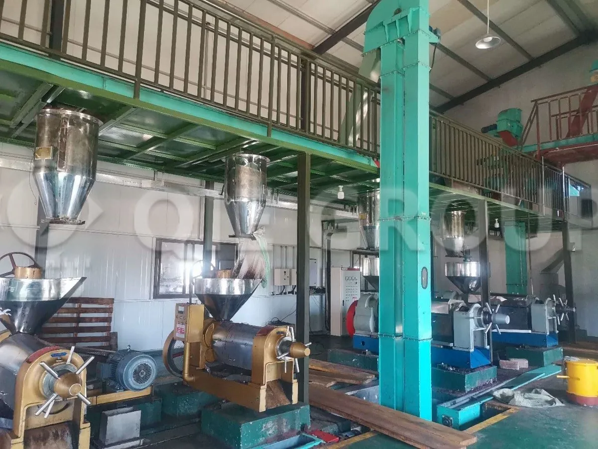Shea butter pressing equipment