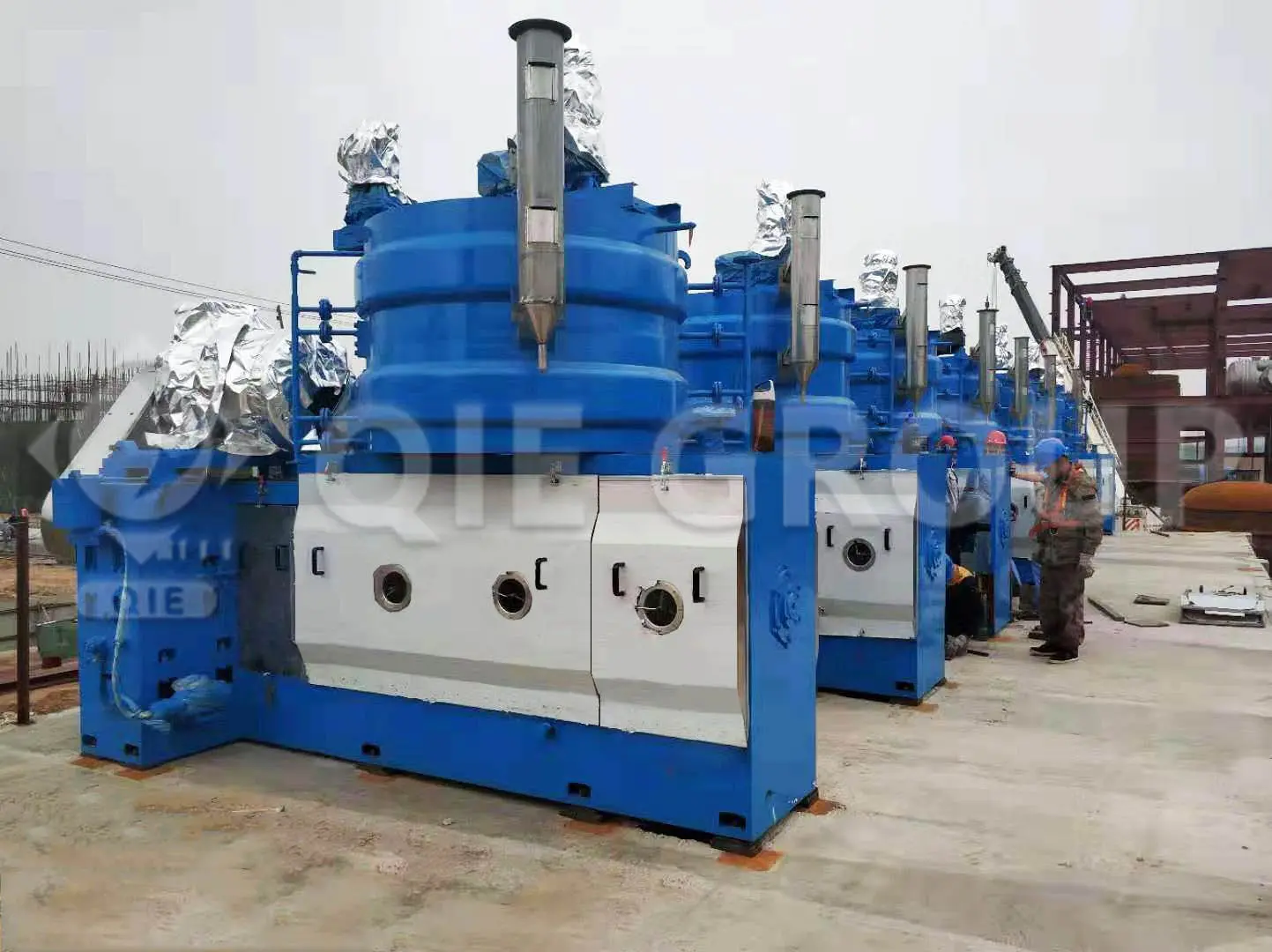 cold press and hot press oil machine for edible oil processing