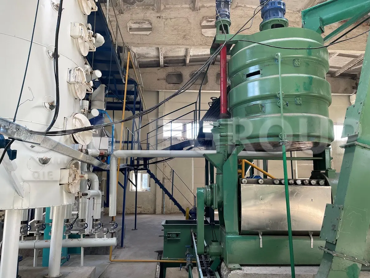 Corn germ oil press machine for edible oil extraction