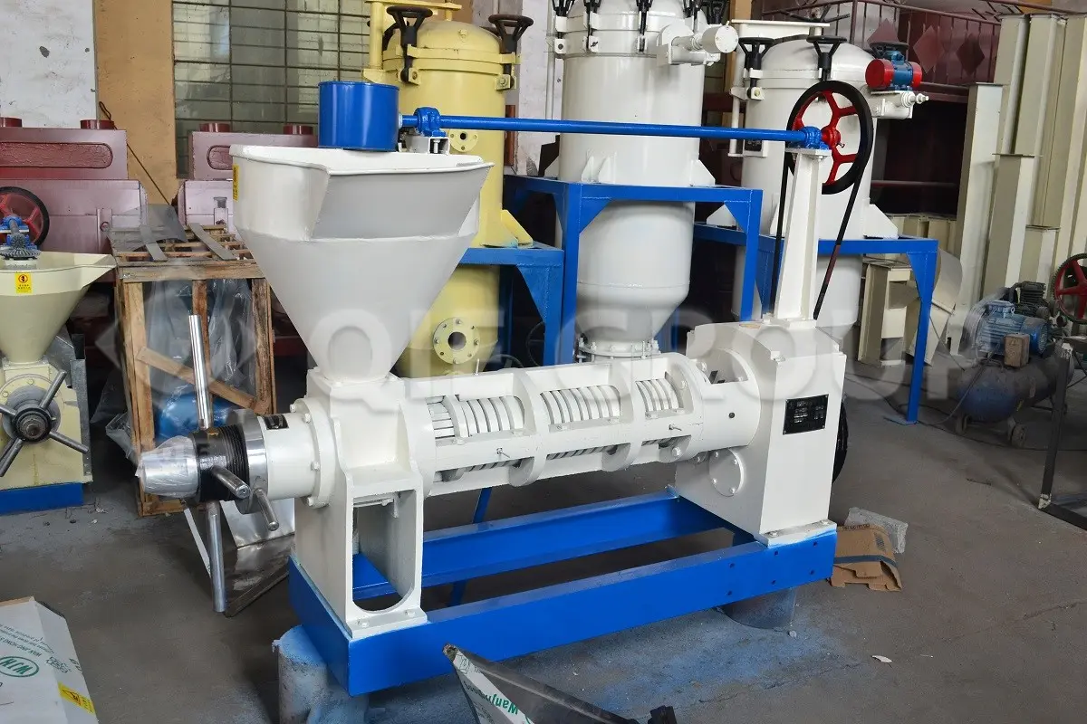Sunflower oil screw press machine extracting oil from sunflower seeds in industrial plant