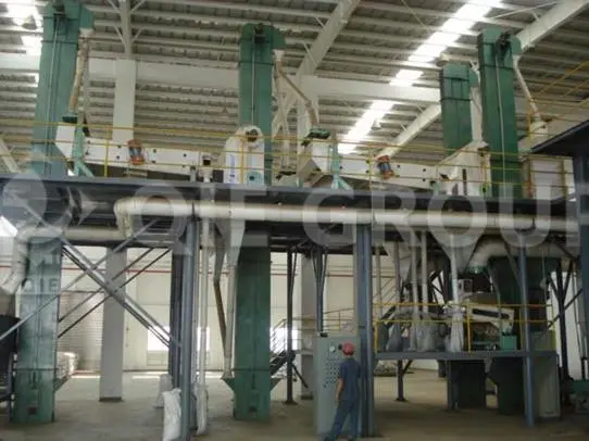 20TPD sesame oil processing plant with turnkey solution
