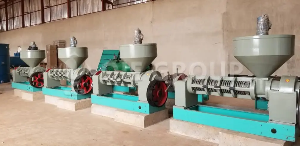 QIE Edible Oil Press Machine – cold & hot pressing, high oil yield, easy operation