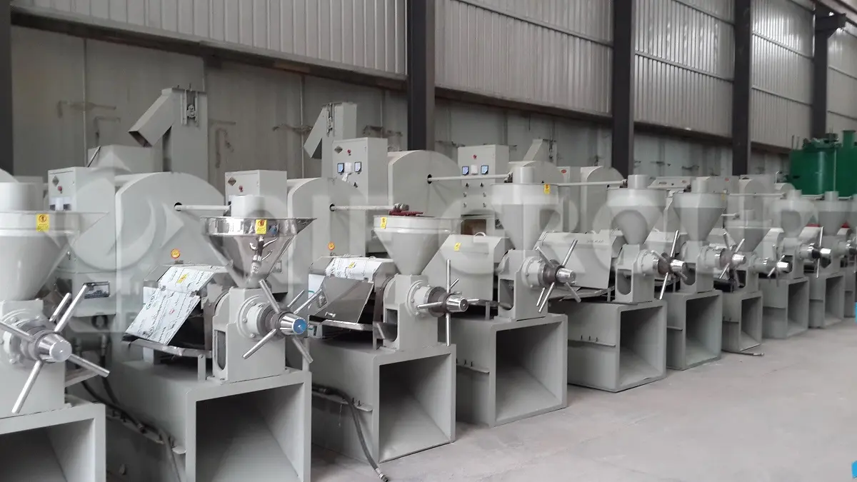 Rice bran oil expeller in India, suitable for small to large rice bran oil plants