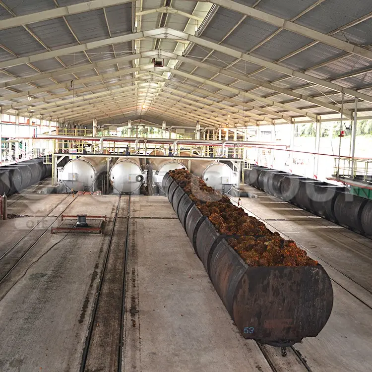 Palm fruit sterilization station for palm oil mill