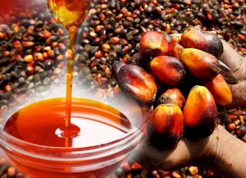 Refined palm oil for cooking